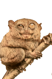 Photo de profil de Opérateur